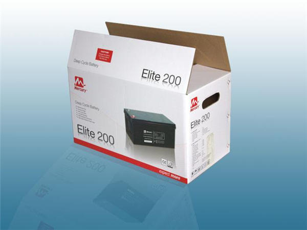 電子産品(pin)包裝 